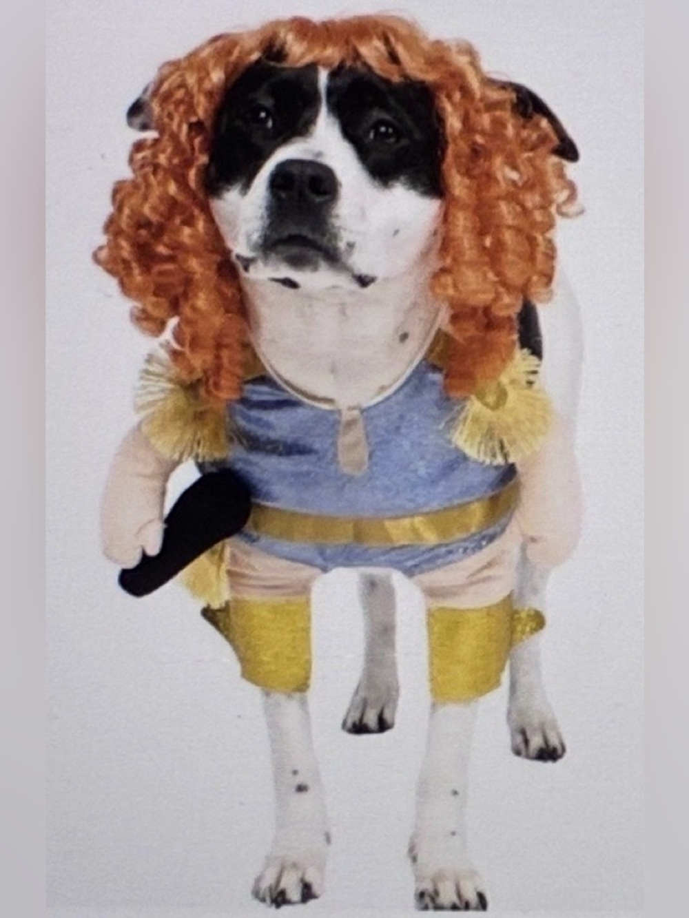 Vibrant Life "Pop Princess" Walkie Pet Costume Sz XS Cat Or Dog Costume NEW